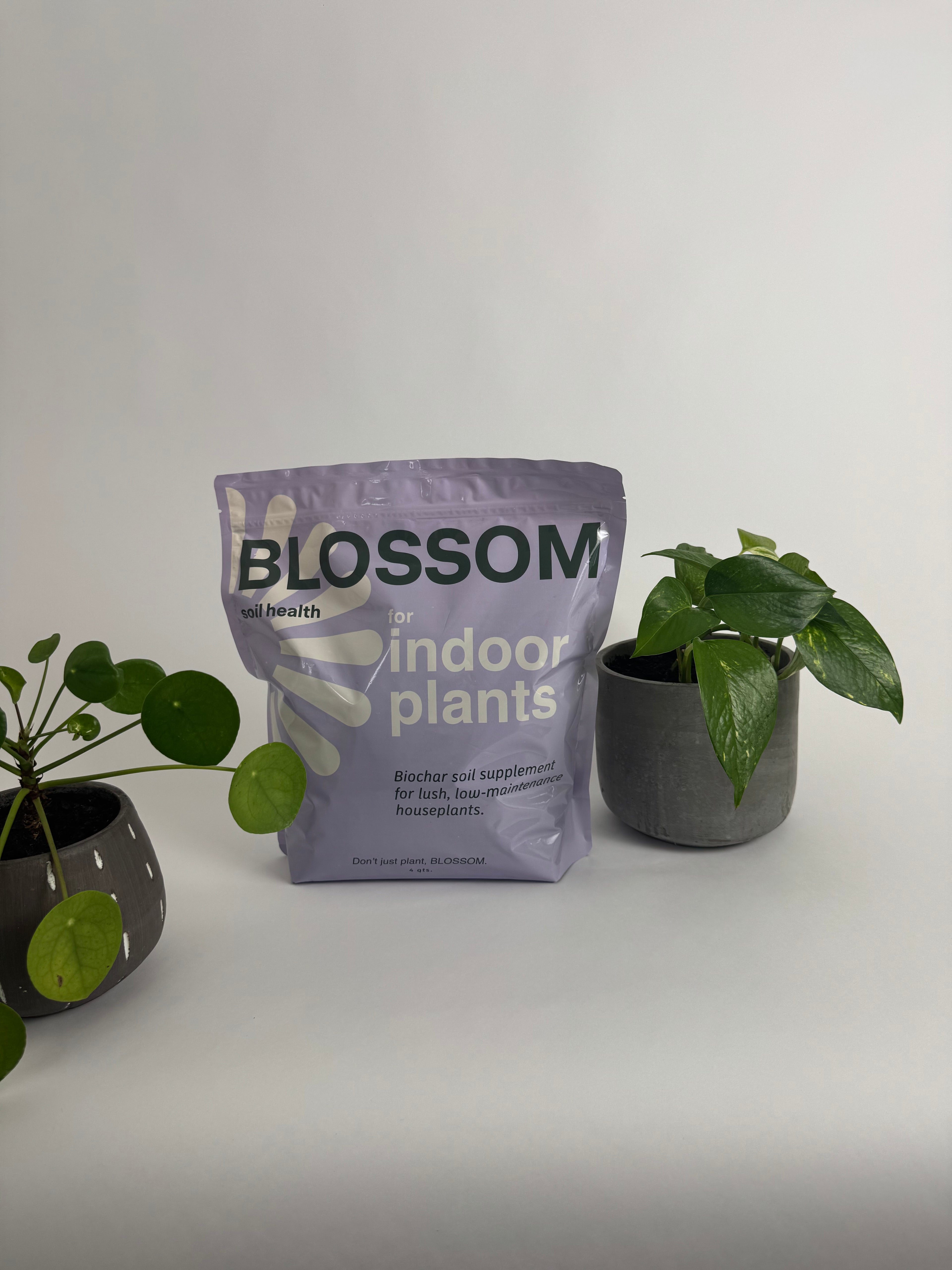 artificial soil for indoor plants Indoor Plant Soil Supplement – Blossom Soil Health