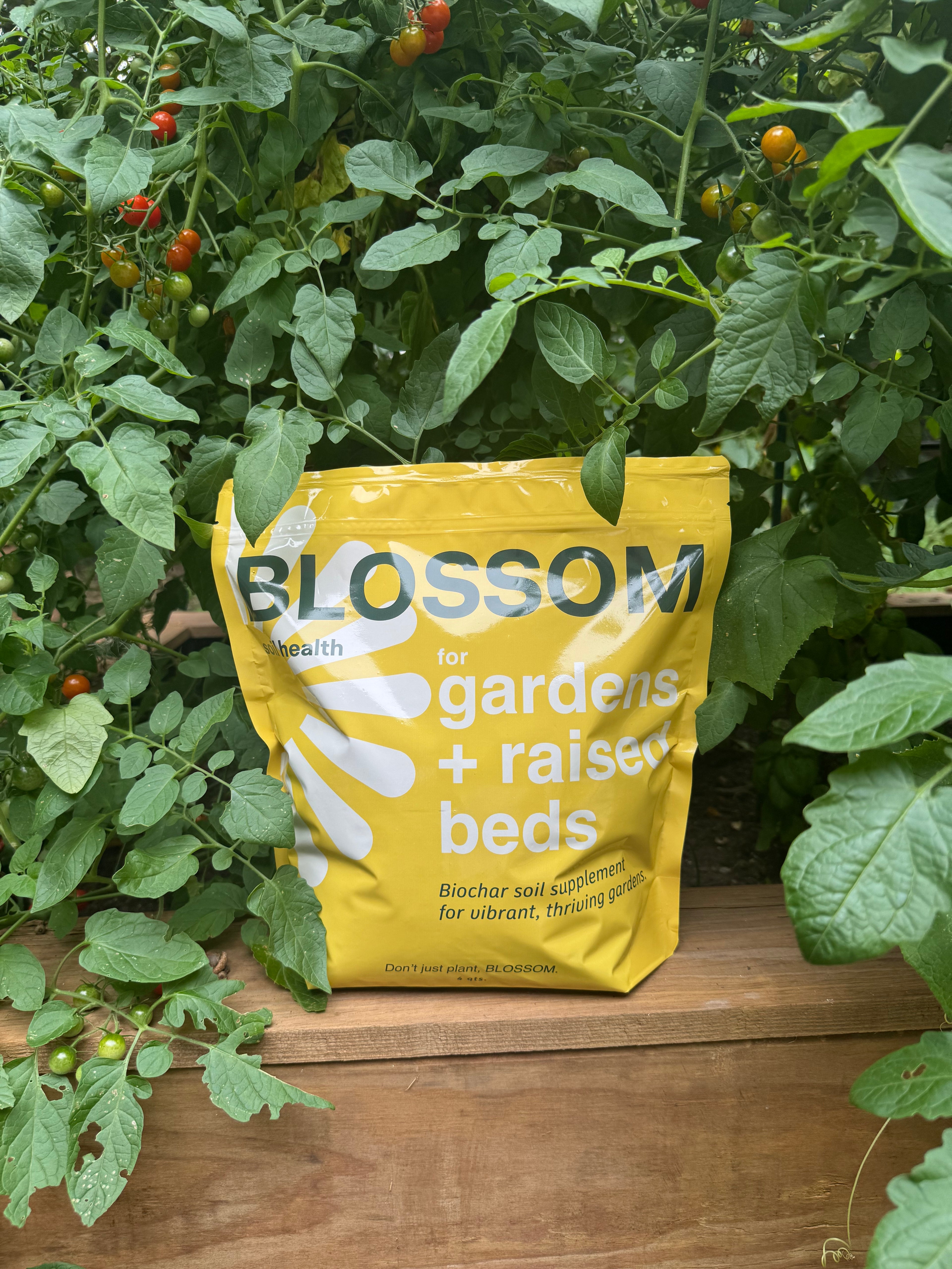 Gardens + Raised Bed Soil Supplement