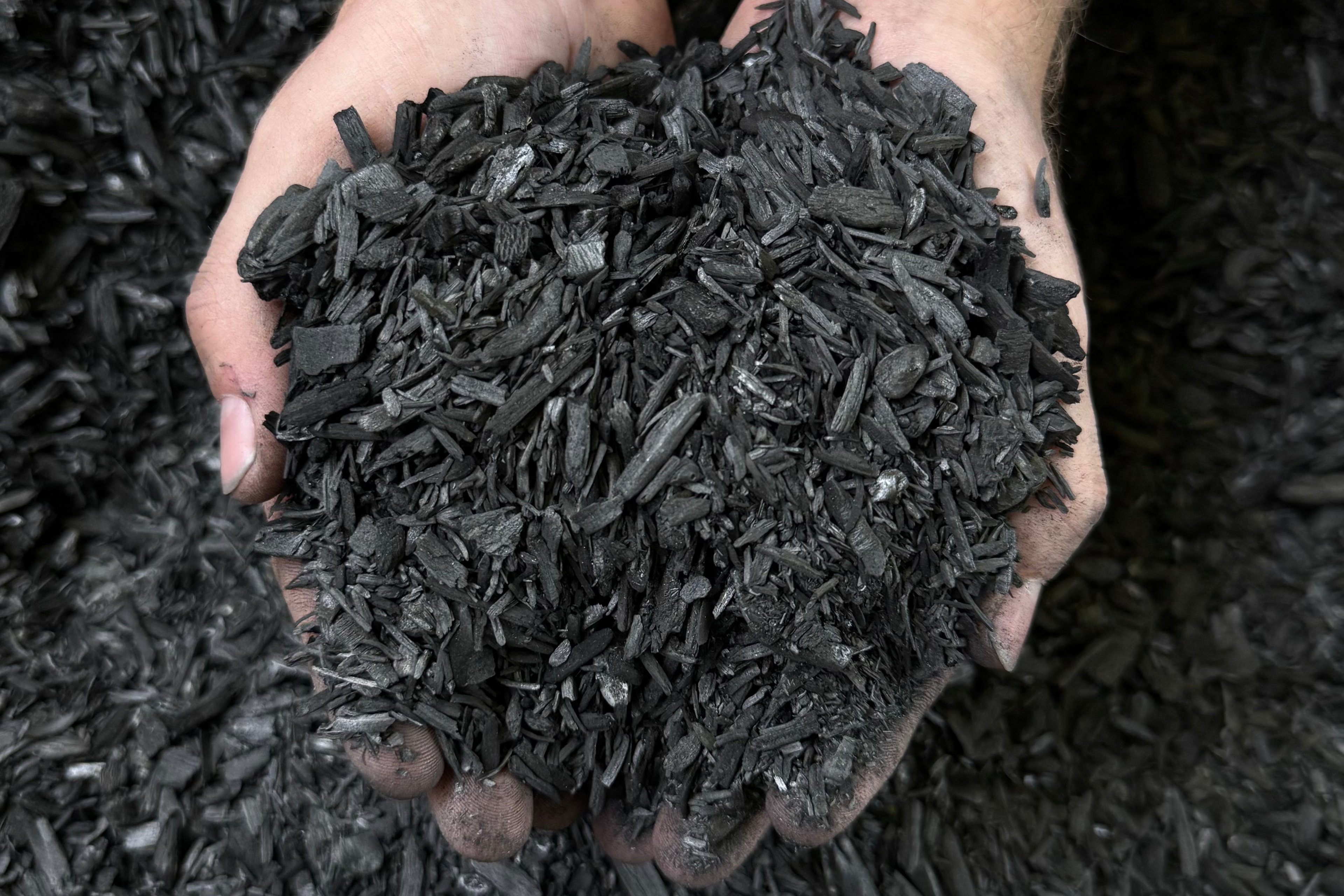 Indoor Plant Soil Supplement