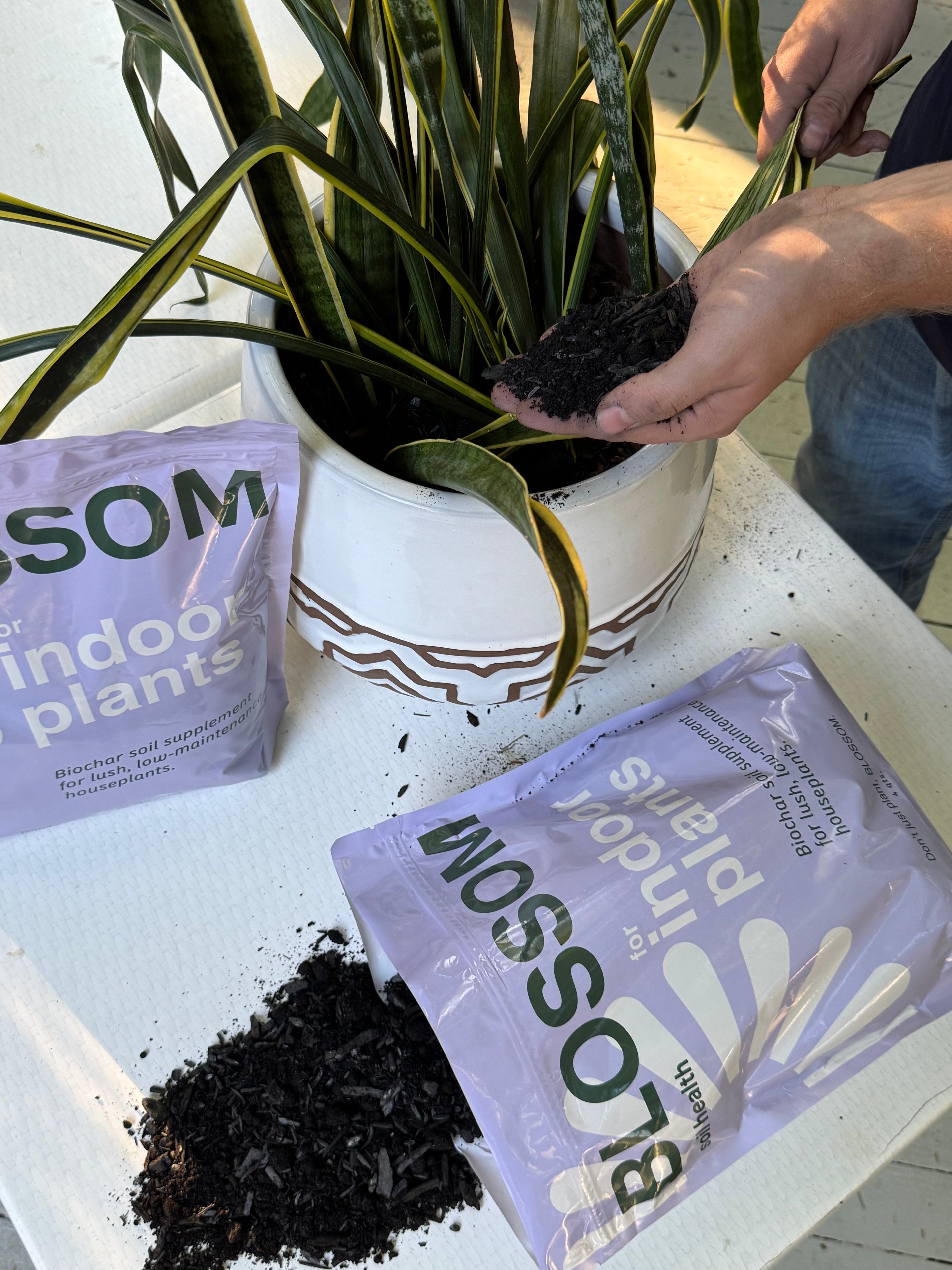 Indoor Plant Soil Supplement